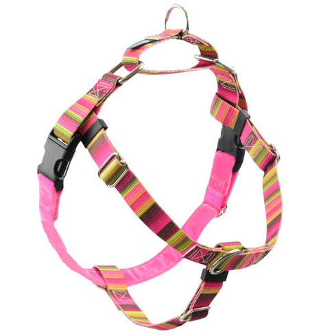 2 Hounds Design Freedom No-Pull Harness 1" Medium Bonnie - Poudre Pet and Feed Supply
